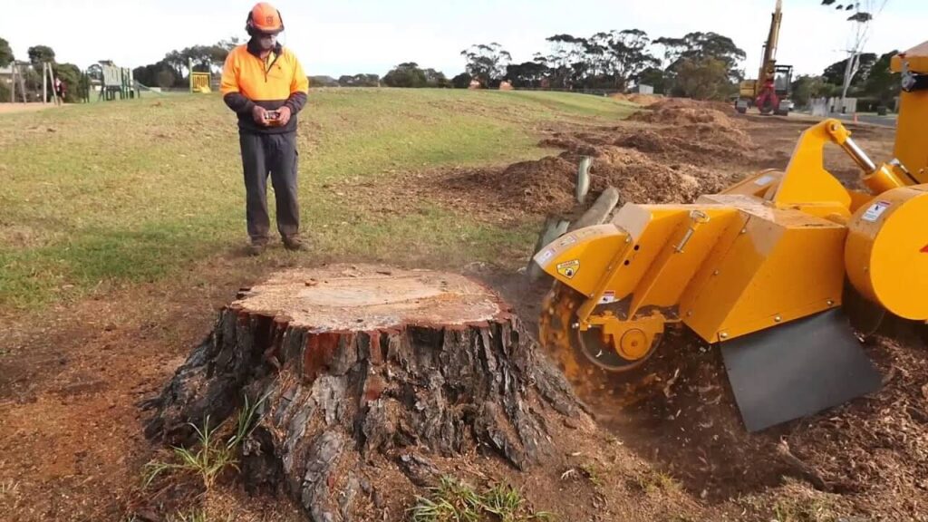 Stump Grinding Service in Sydney
