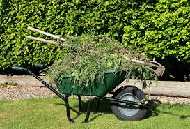 How to Simplify Cleanup with Professional Green Waste Removal Sydney Services