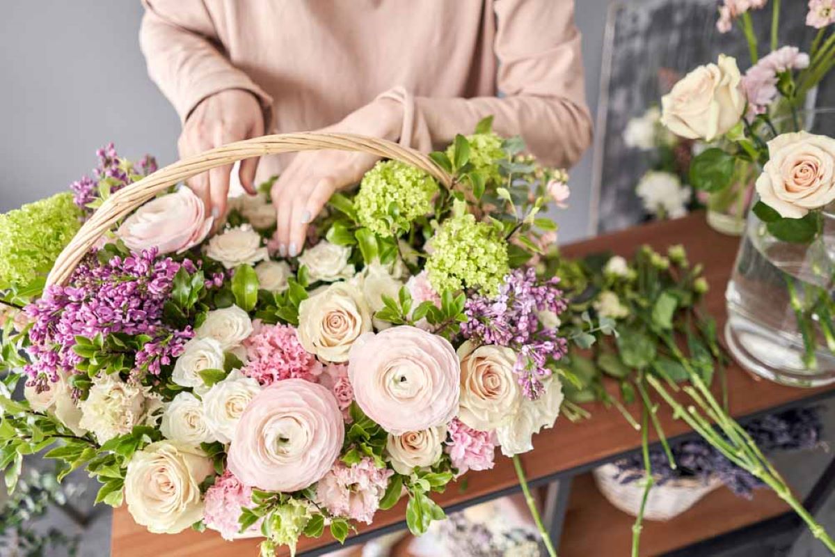Valentines day roses