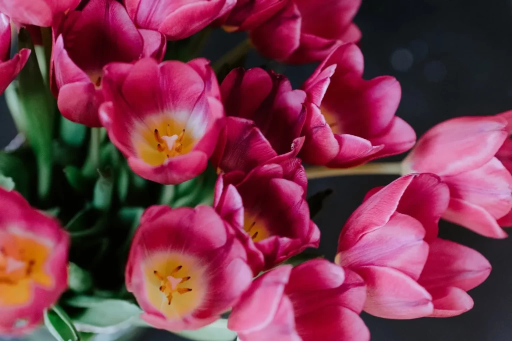 Florist West Pymble